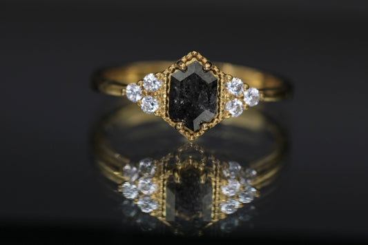 Penelope Ring - Salt and Pepper Hexagon Diamond Ring